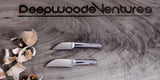 Carving Knives in just the blanks for the DIY